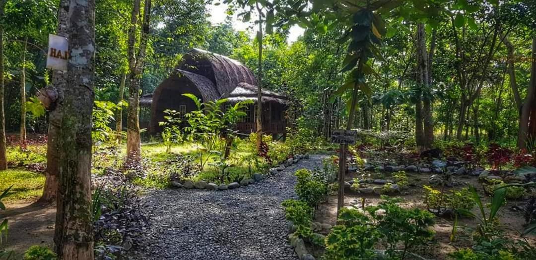 Etalauser Jungle Gate Ecoresort Букит-Лаванг Экстерьер фото