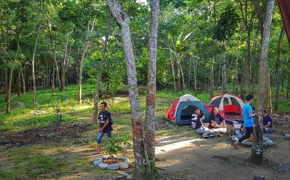 Etalauser Jungle Gate Ecoresort Букит-Лаванг Экстерьер фото